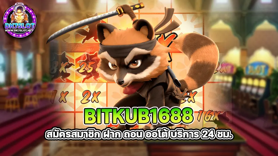 bitkub1688 